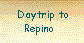  Daytrip to
Repino 