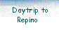  Daytrip to
Repino 